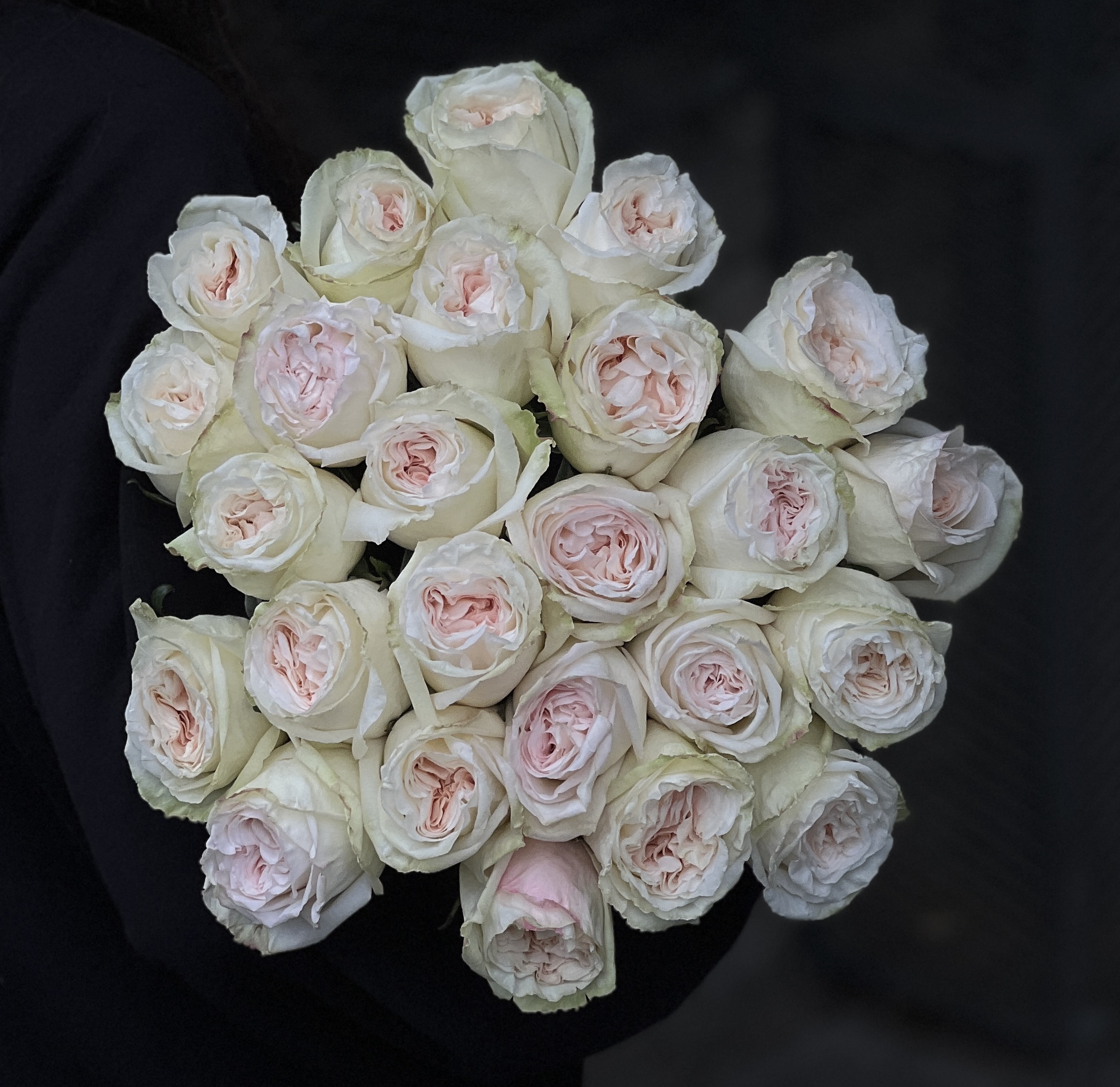 png/flowers/flower_67c717de6a4ba1.33550569.jpg